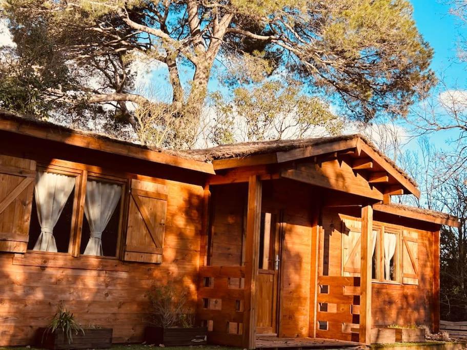 Chalet Bois Jacuzzi Bessan 외부 사진